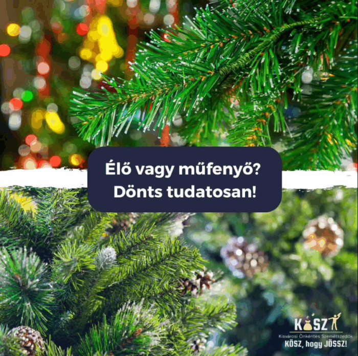 Élő vagy műfenyő: melyik fenntarthatóbb?