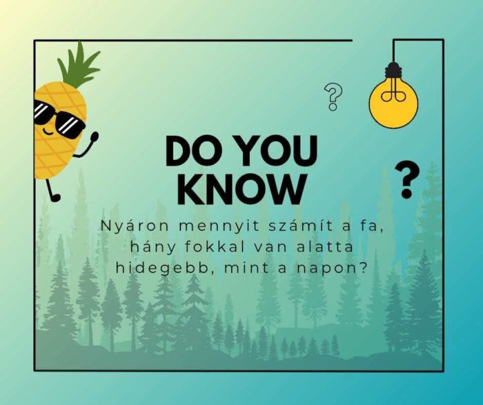 Tudtad, hogy nyáron a beton akár 21 fokkal is melegebb lehet árnyék nélkül?